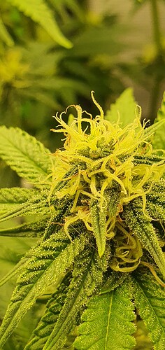 Growreport Bild 5