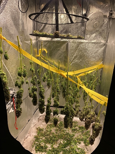 Growreport Bild 6