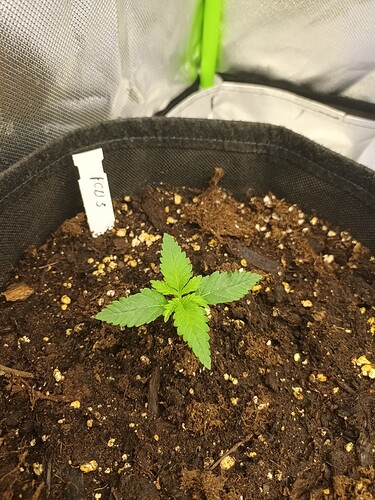Growreport Bild 26