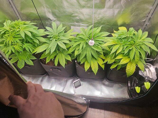 Growreport Bild 10