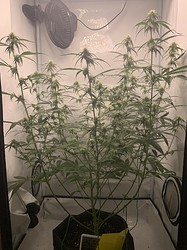 Growreport Bild 21