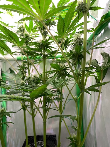 Growreport Bild 3