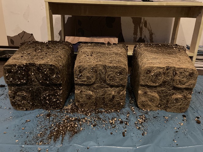 Growreport Bild 42