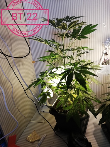 Growreport Bild 4