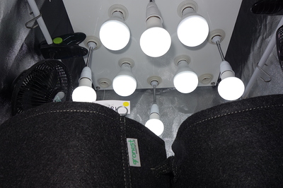 Ein Zelt mit mehreren LED-Lampen, die von der Decke hängen, und zwei Stofftöpfen im Vordergrund.