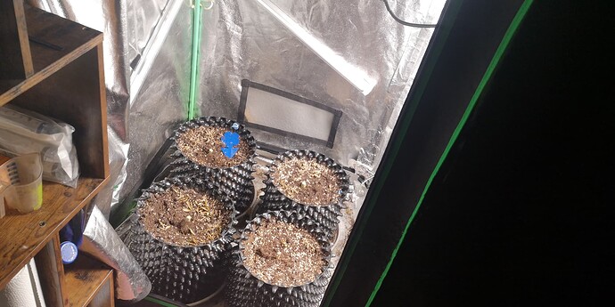 Growreport Bild 16
