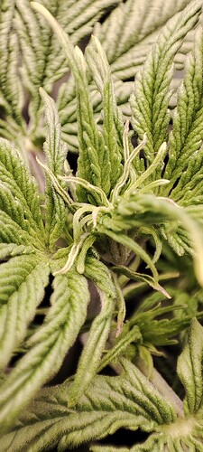 Growreport Bild 3