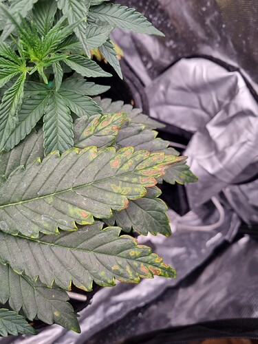 Growreport Bild 22