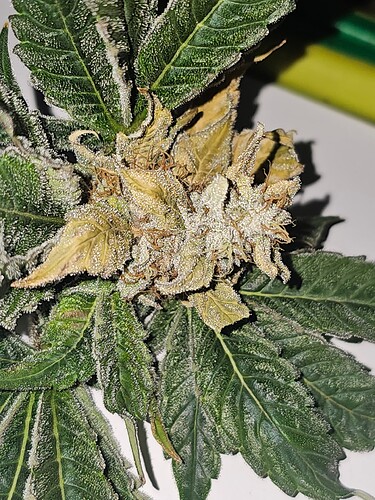 Growreport Bild 9