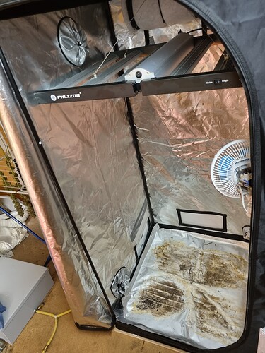 Growreport Bild 1