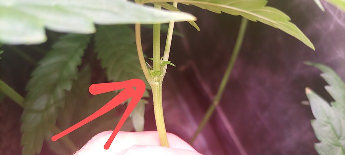 Growreport Bild 17