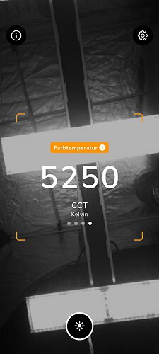 Growreport Bild 29