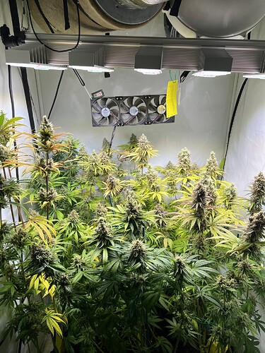 Growreport Bild 18
