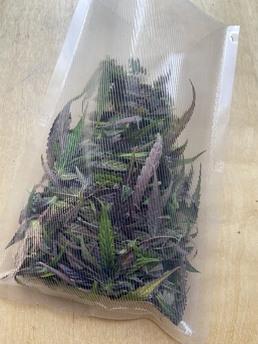 Growreport Bild 10