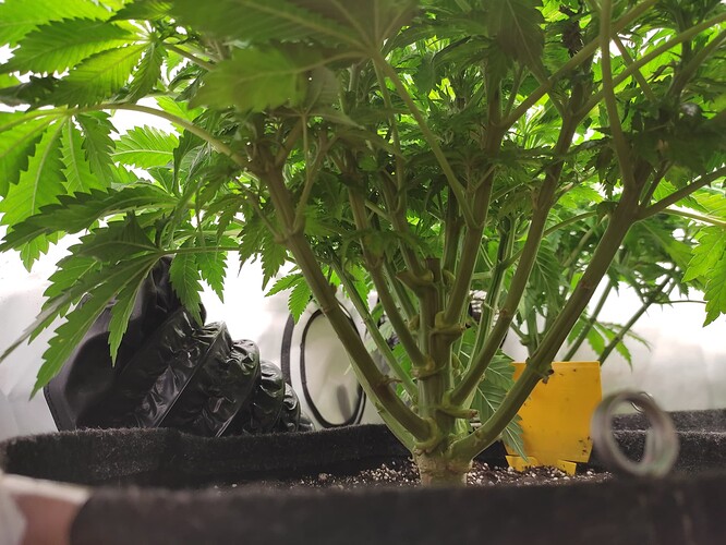 Growreport Bild 11