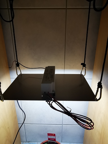 Growreport Bild 2