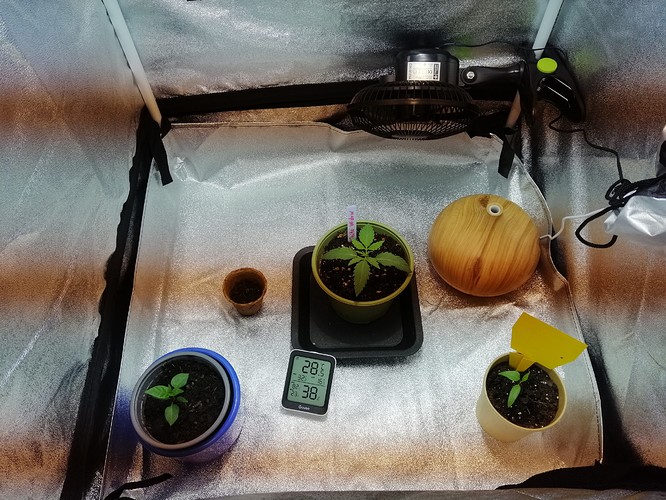 Growreport Bild 7