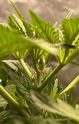 Growreport Bild 4
