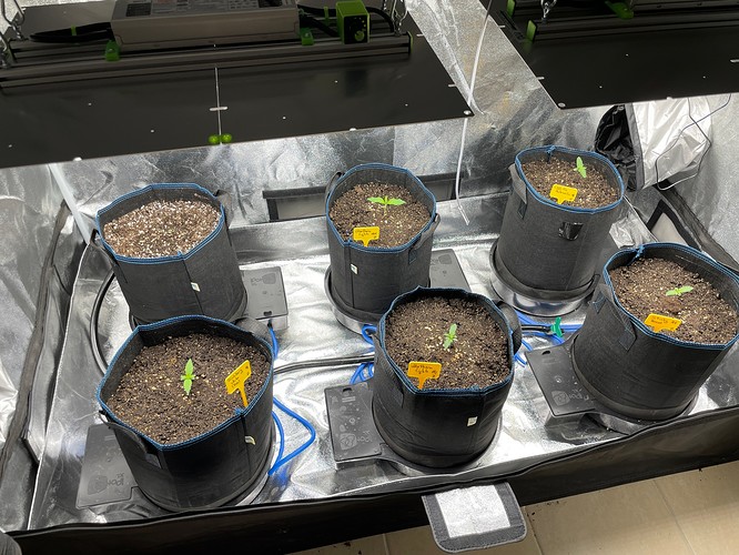 20211001_130310481_iOS