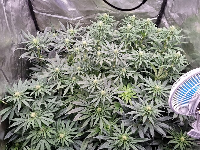 Growreport Bild 17