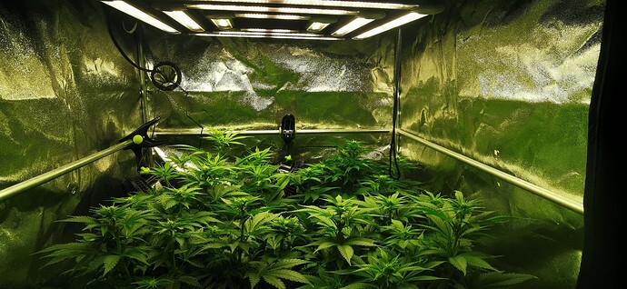 Growreport Bild 47
