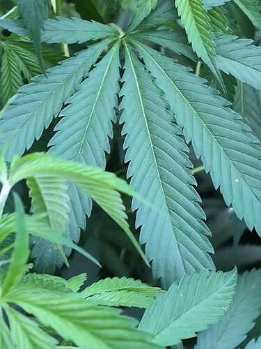 Growreport Bild 15