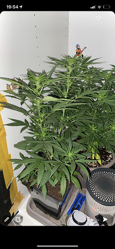 Growreport Bild 3