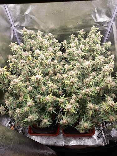 08a6b37a70ae37a7bbf7244a24975efd5e325a82