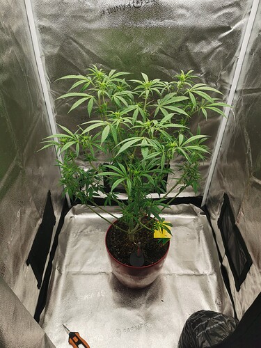 Growreport Bild 5