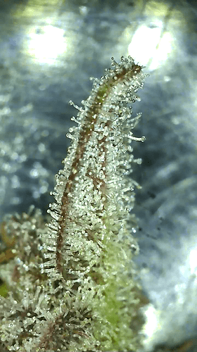 Growreport Bild 22