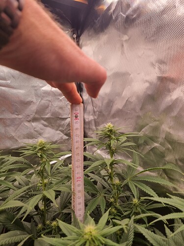 Growreport Bild 40