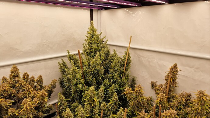 Growreport Bild 2
