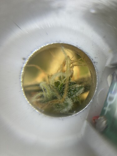 Growreport Bild 21