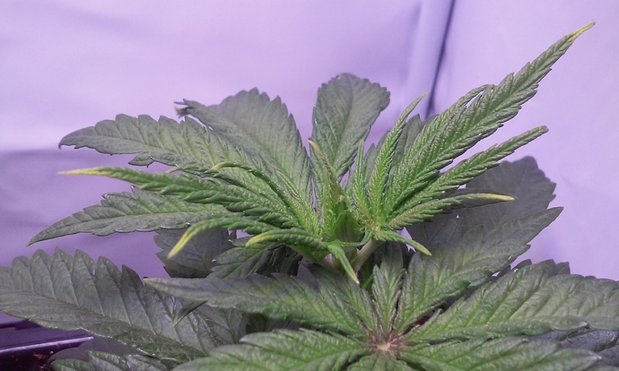 Growreport Bild 21