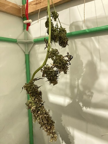 Growreport Bild 13