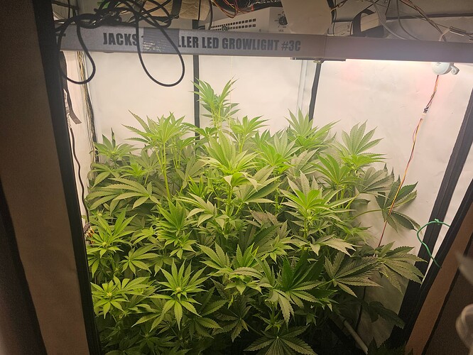 Growreport Bild 2