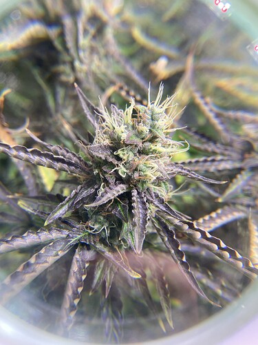 Growreport Bild 10