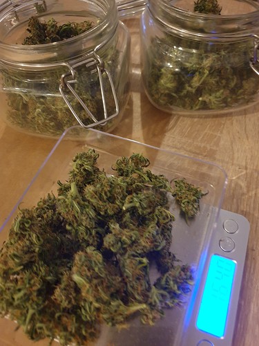 Growreport Bild 2