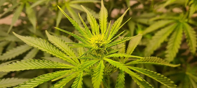 Growreport Bild 8