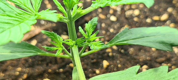 Growreport Bild 15