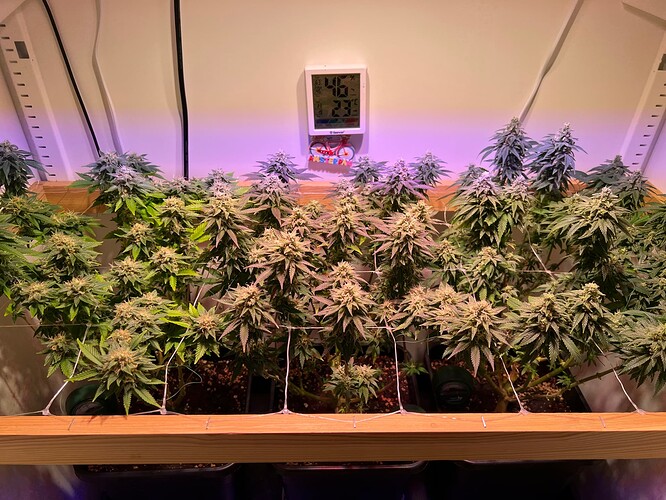 Growreport Bild 4