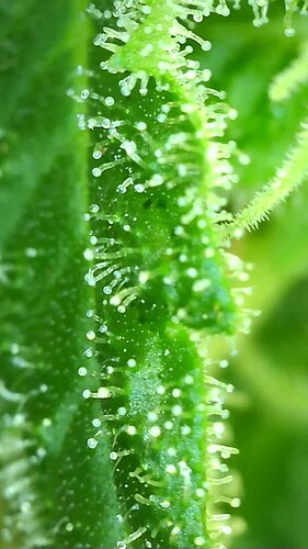 Growreport Bild 18