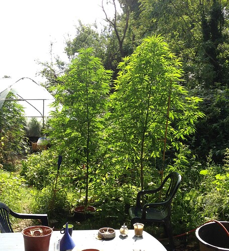 Growreport Bild 24