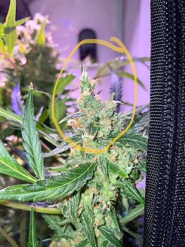Growreport Bild 10