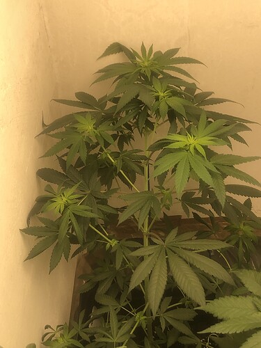 Growreport Bild 10