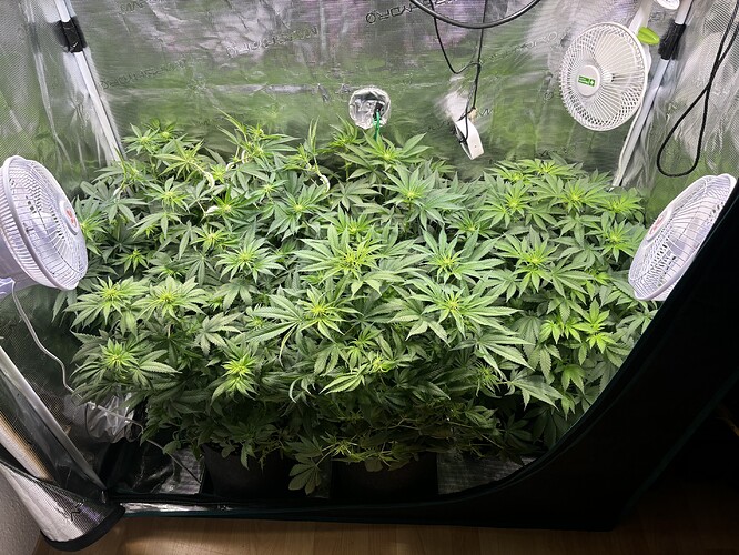 Growreport Bild 24