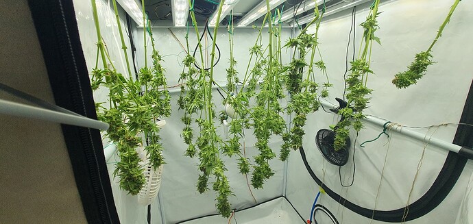 Growreport Bild 17