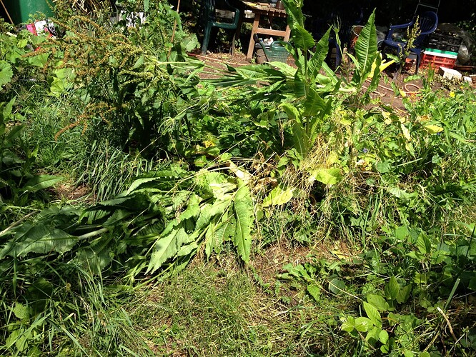 069_SturmwarnungPoly_07