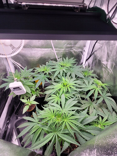 Growreport Bild 7
