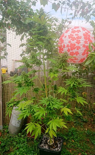 Growreport Bild 18